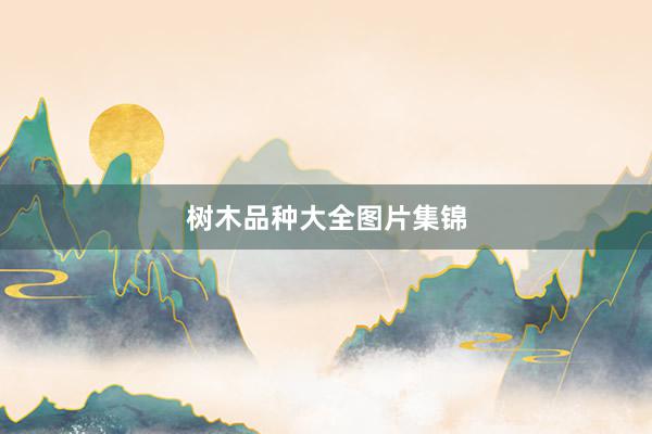 树木品种大全图片集锦